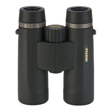 DCF NV 10*36