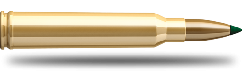 300 pts hornady 2