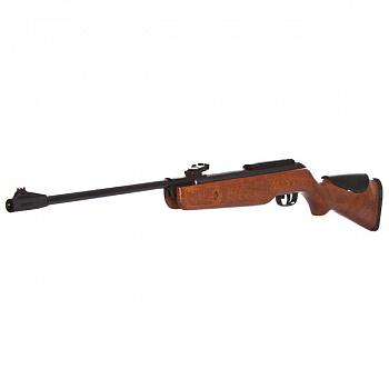 винтовка пневматическая Gamo Hunter DX