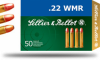 22wmr hs 1