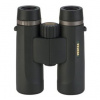 DCF NV 10*36