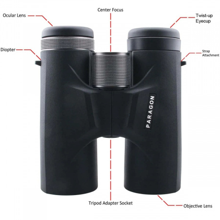 Бинокль Vector Optics Paragon 10x42, Roof-призма BAK4 