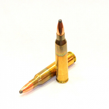 патрон PMP .223 Rem SP